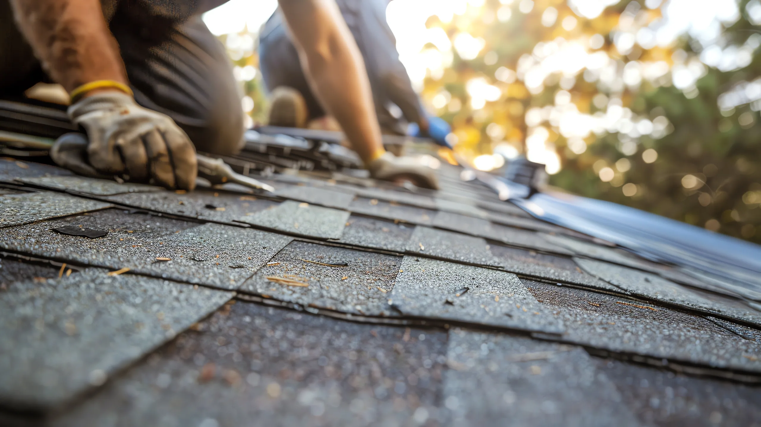 Roof leak repair example 1 showing leak source identification and repair