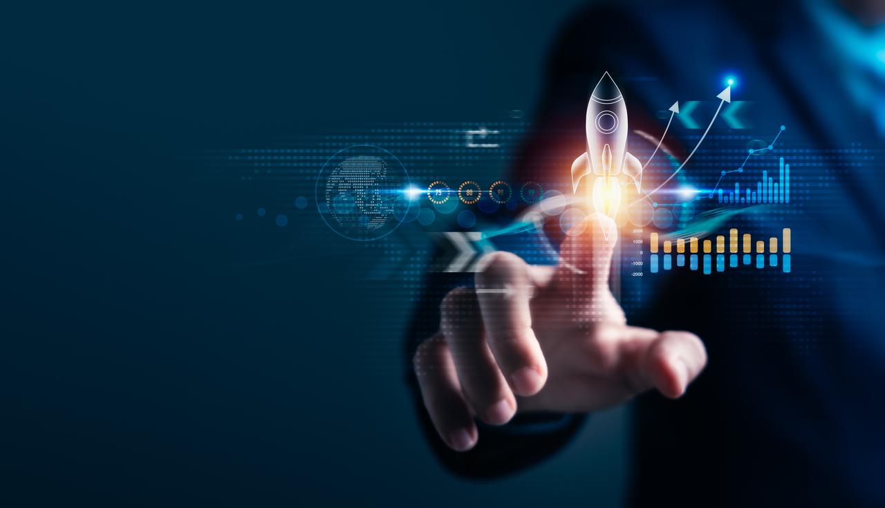 SEO Profesional