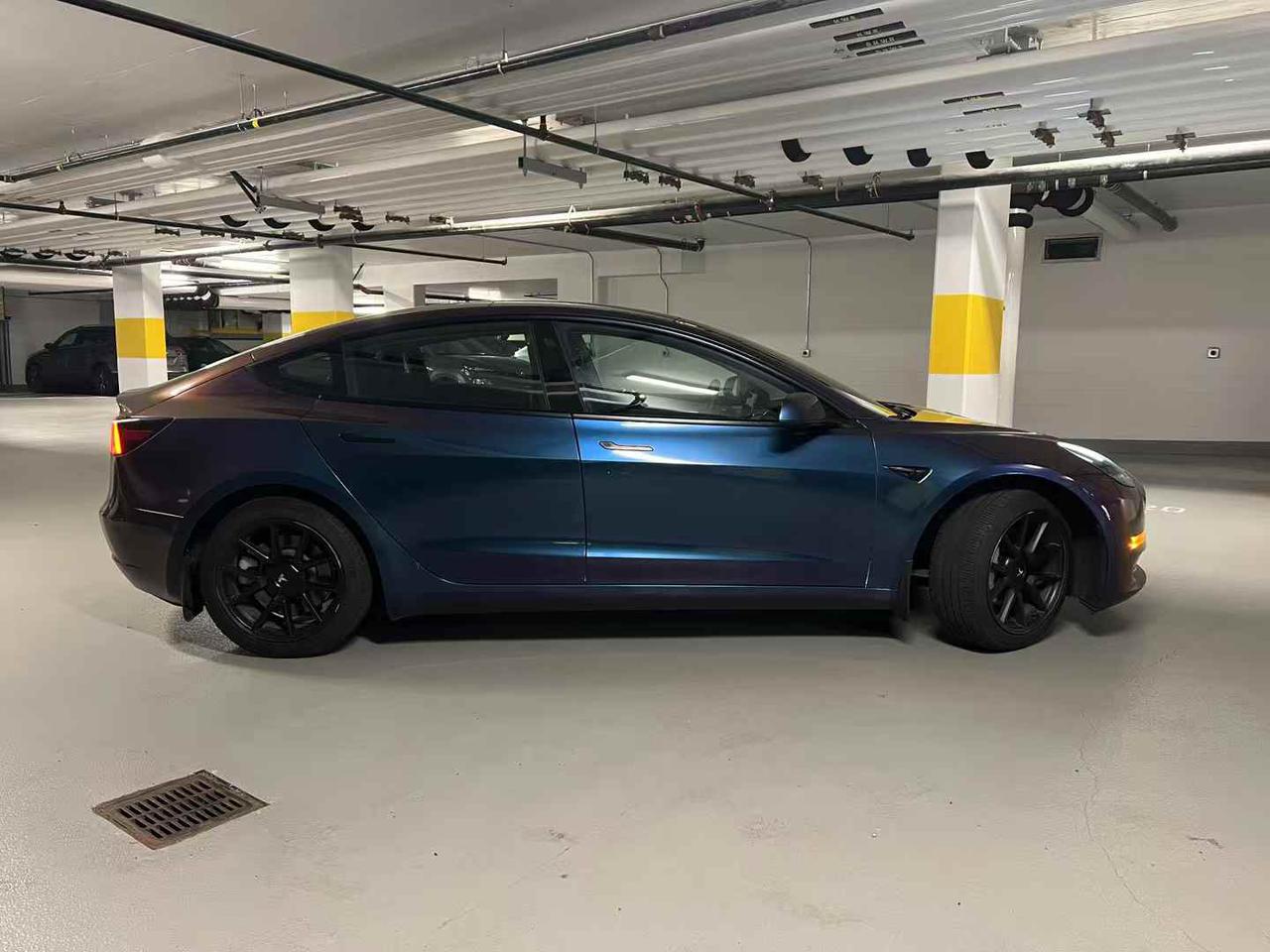 mmexport1750499816747.jpg