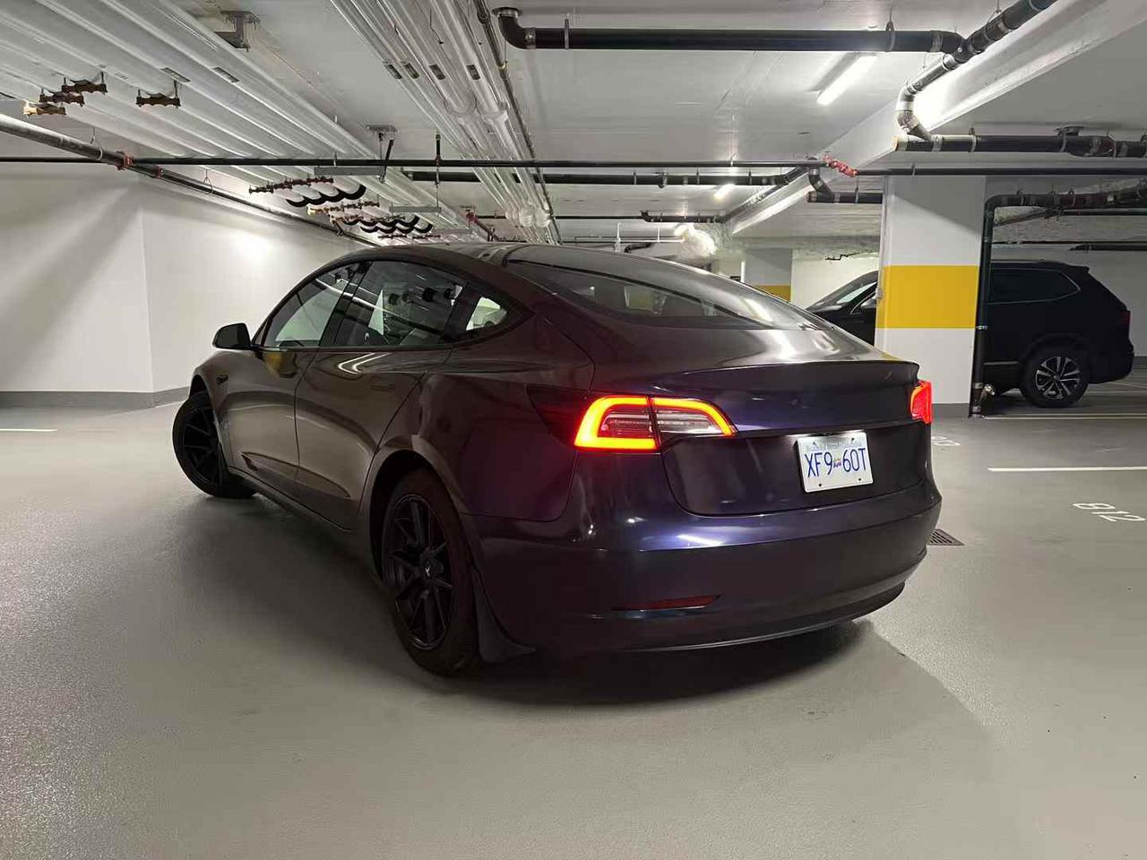 mmexport1750499819921.jpg