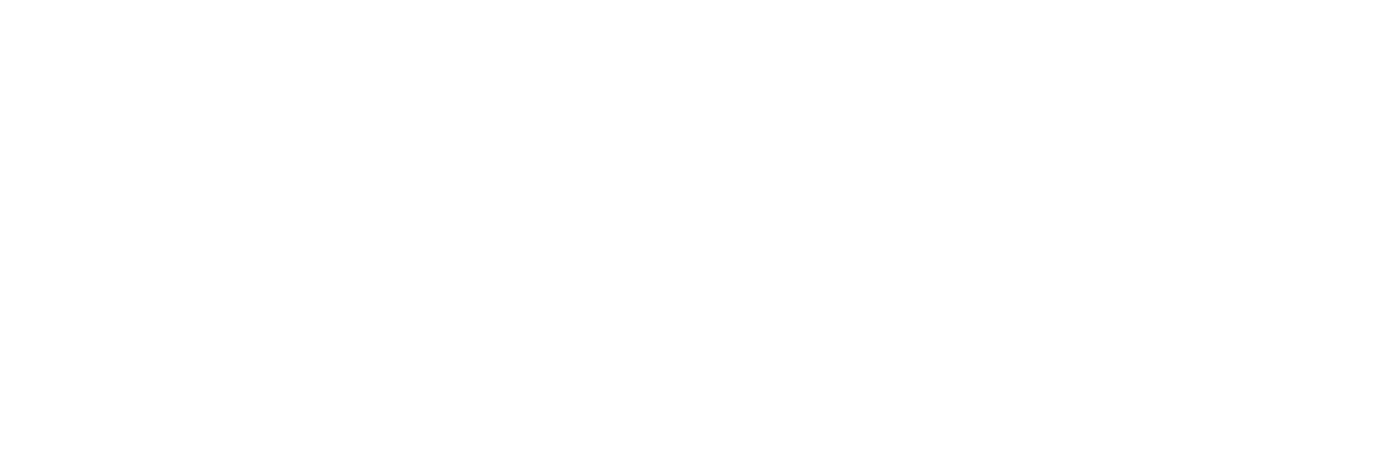 s2 management white transparent logo png.png