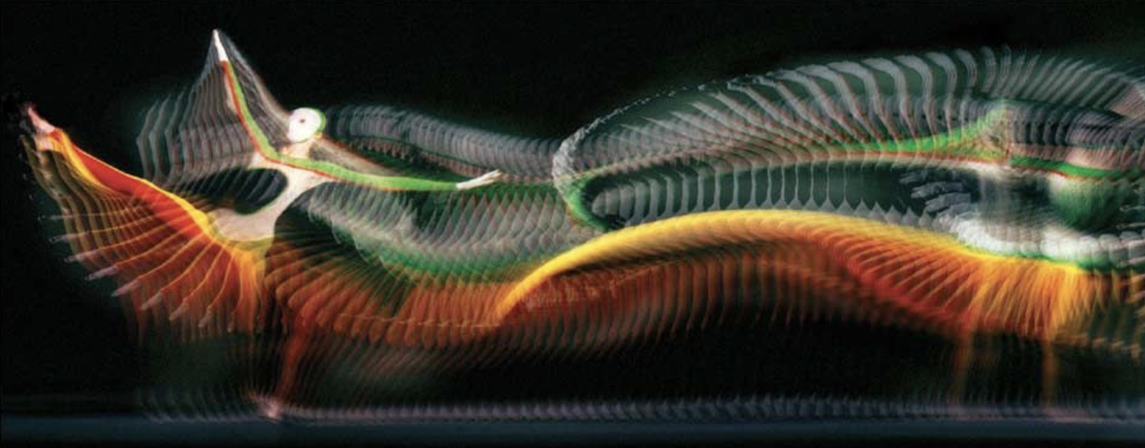 screen shot 2020-07-01 at 4.47.01 am.png