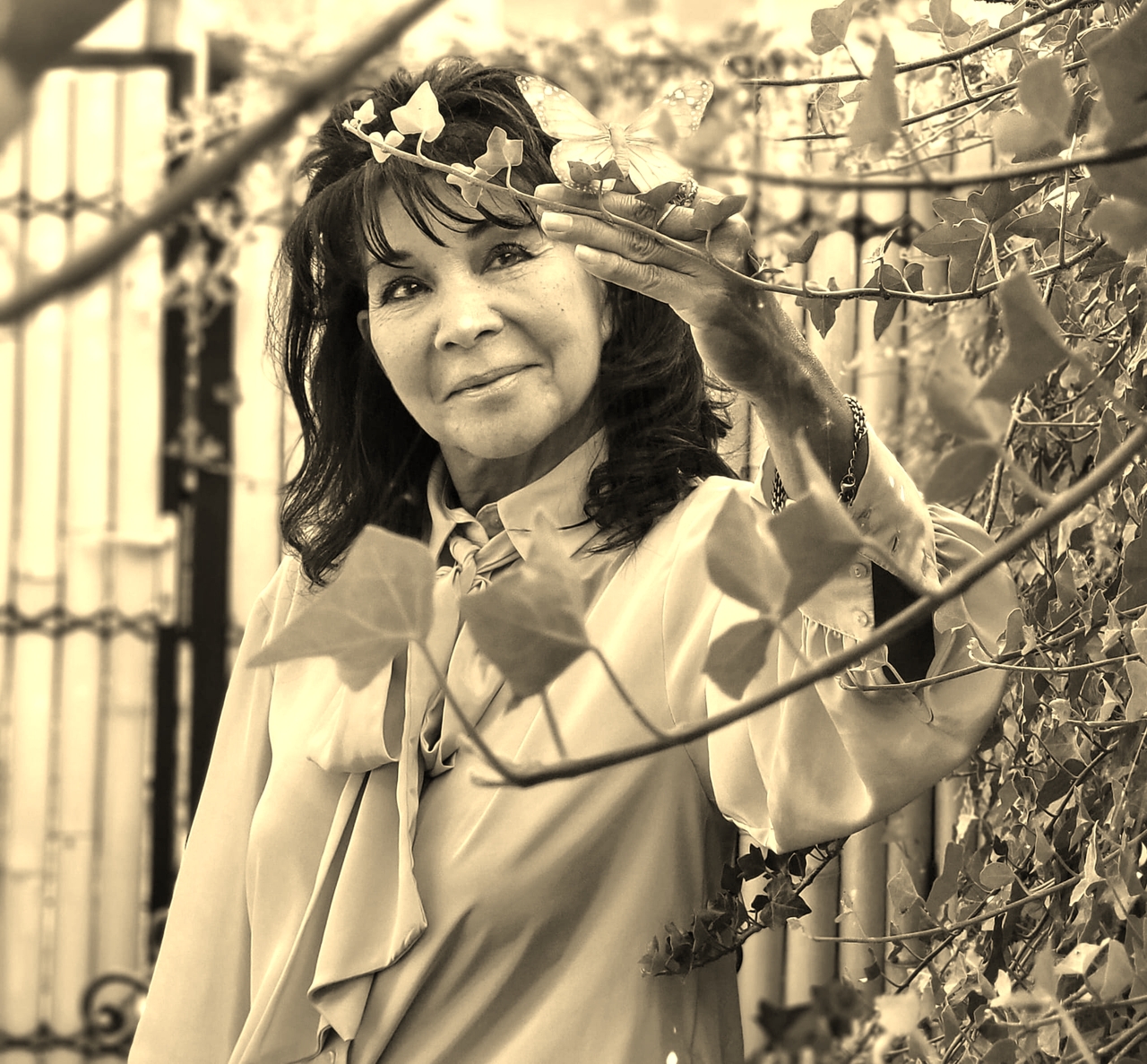 dc_vinder static (bg sepia)