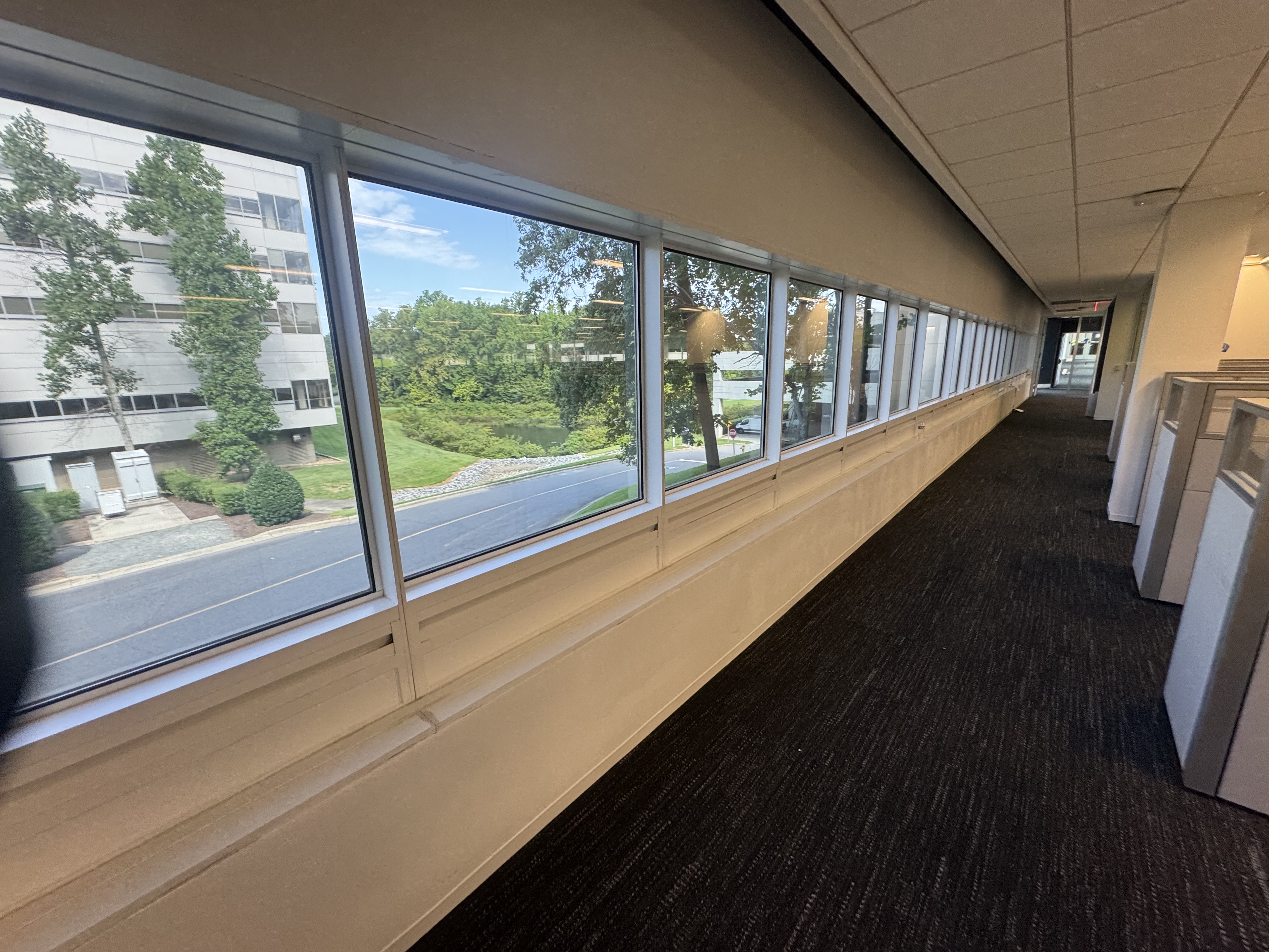 Detailed commercial cleaning