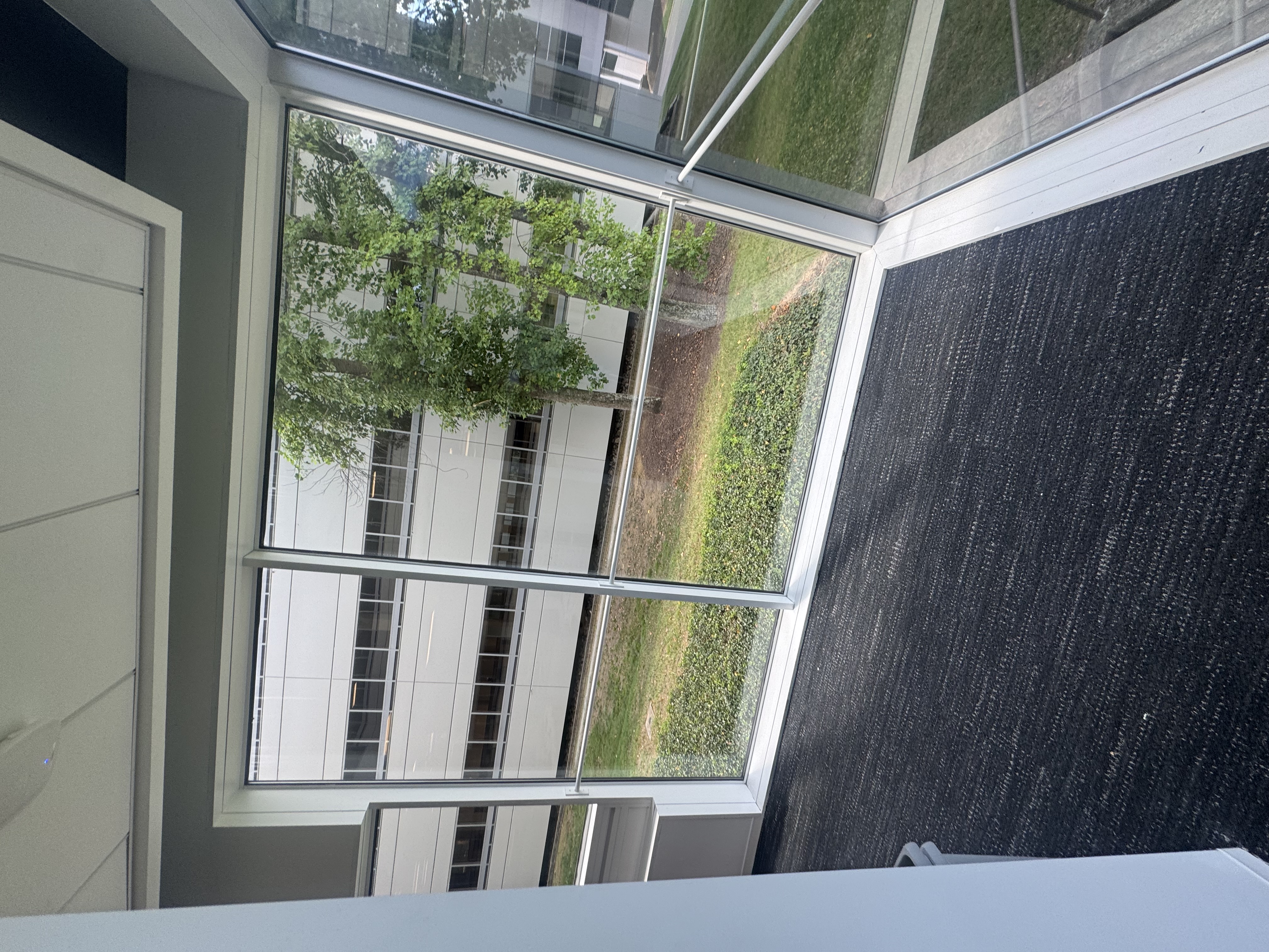 Commercial window cleaning