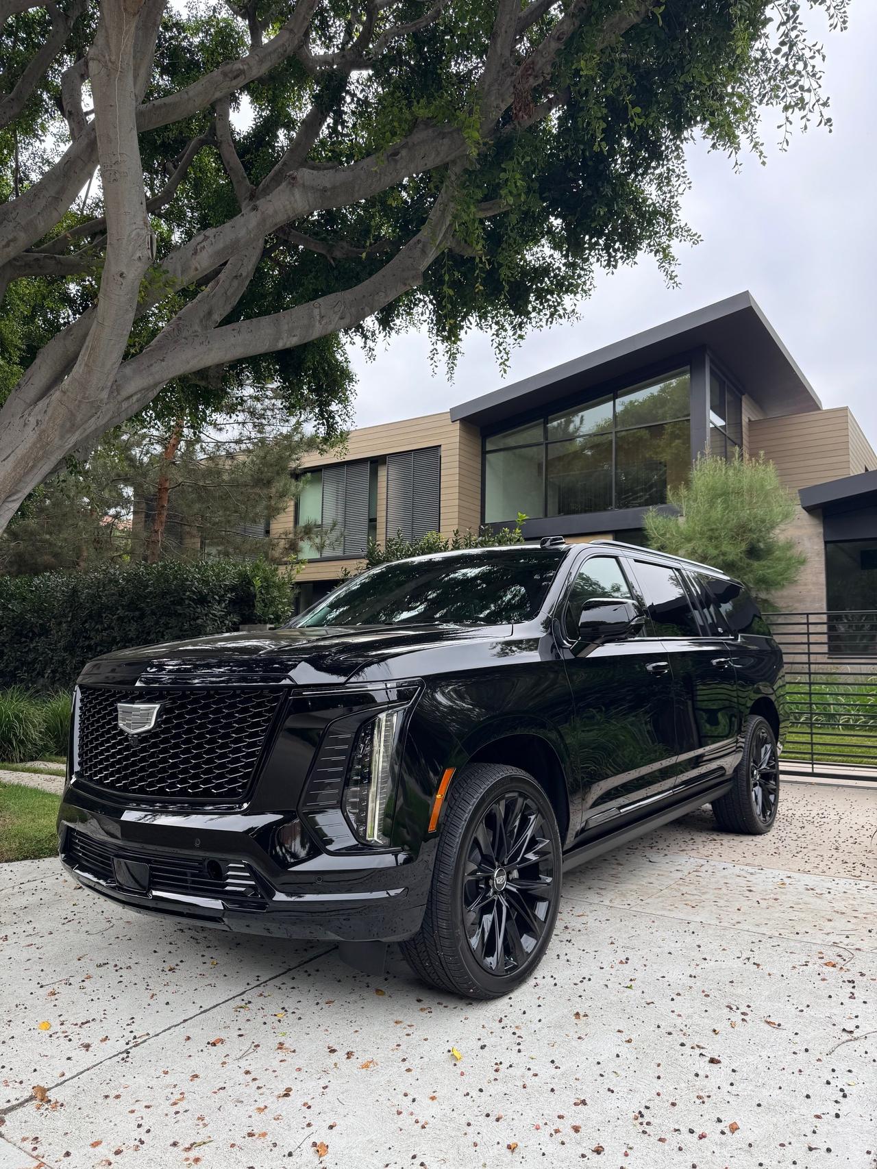 escalade1.jpg