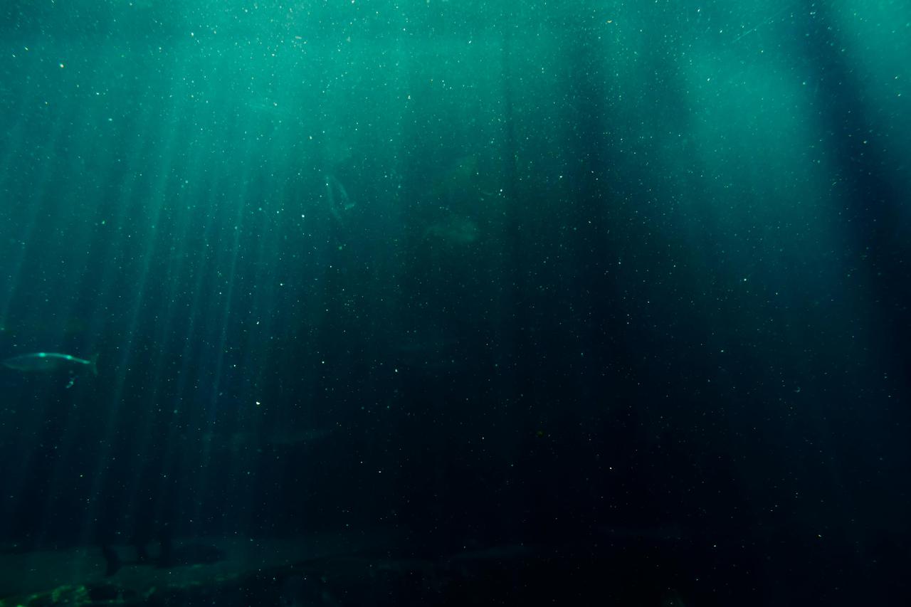 pexels-blaque-x-264516-932638.jpg