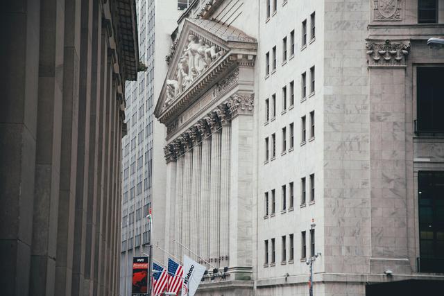 pexels-67117688-10921435.jpg