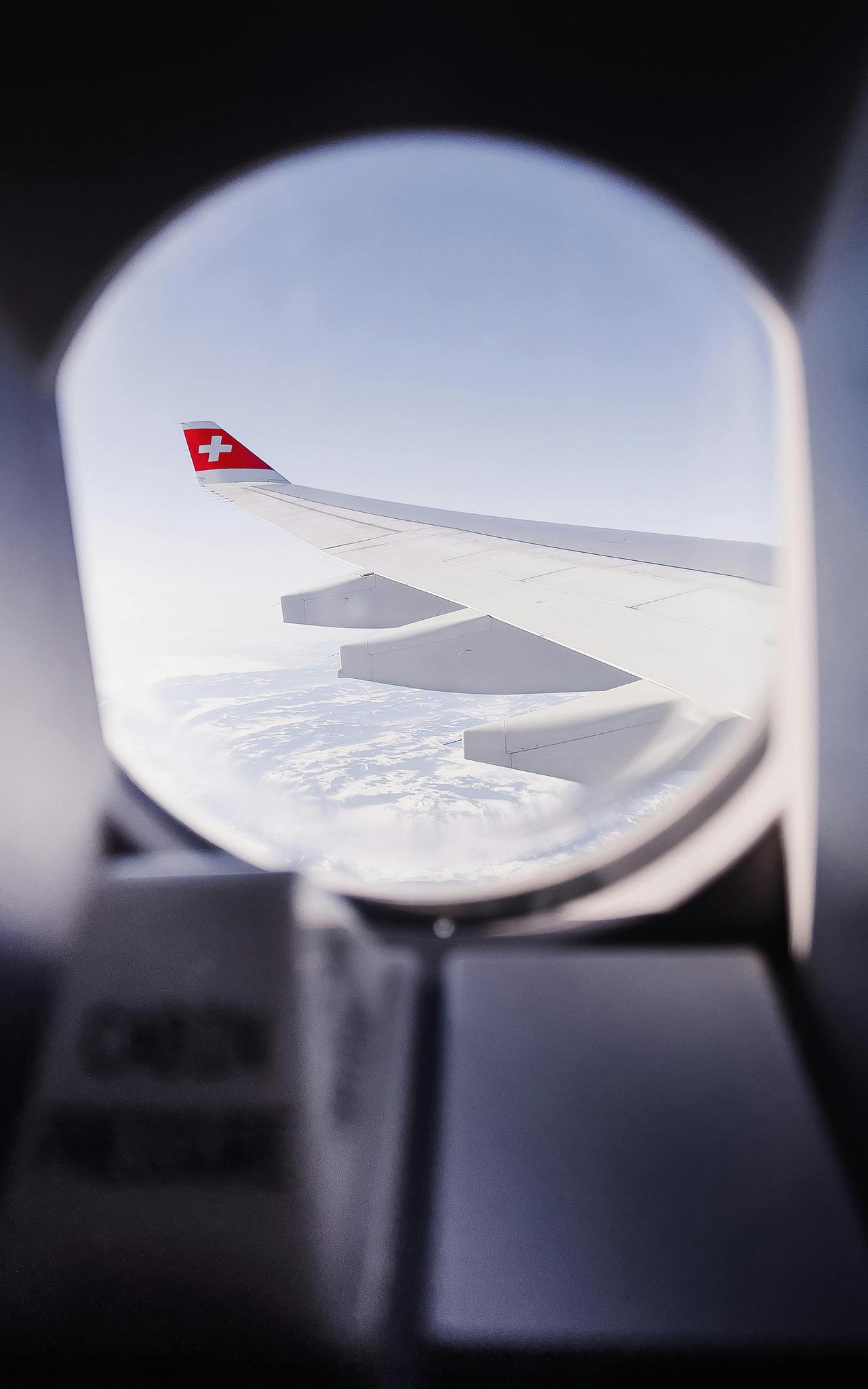 pexels-speedbird--one-31347750.jpg