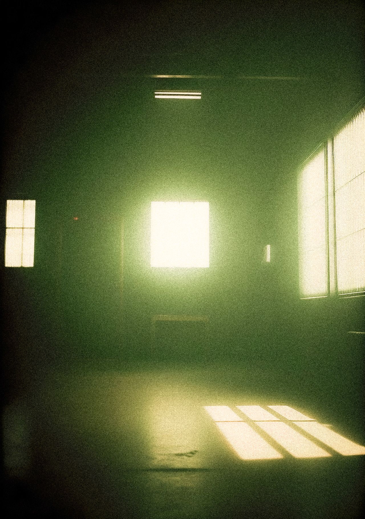 Still Rooms