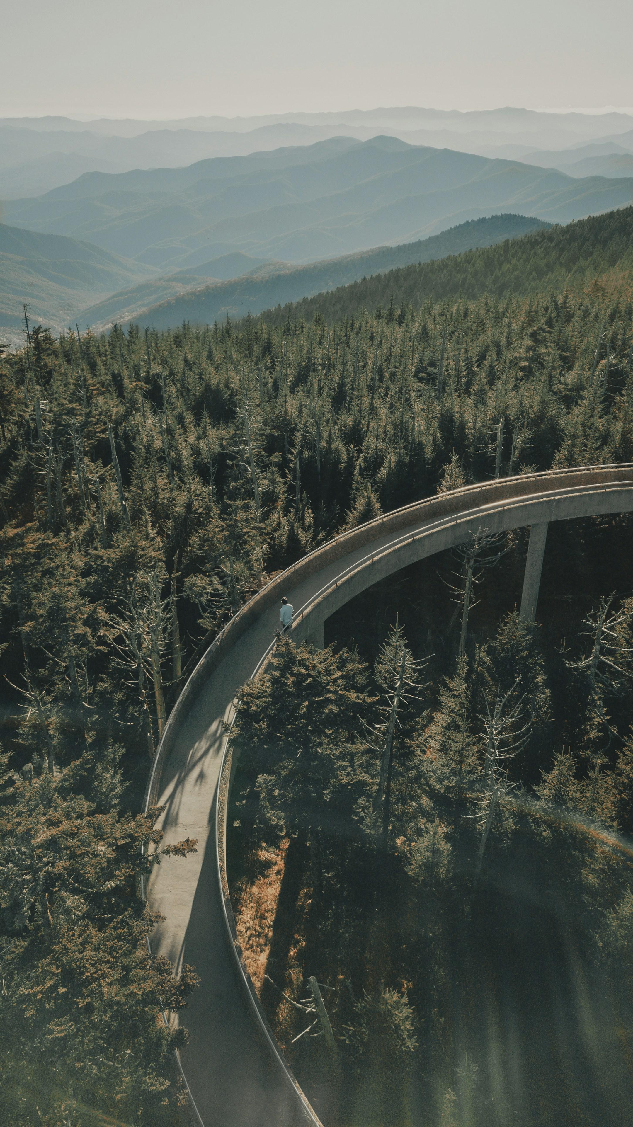 North Carolina Dreaming [ IG: @clay.banks ]