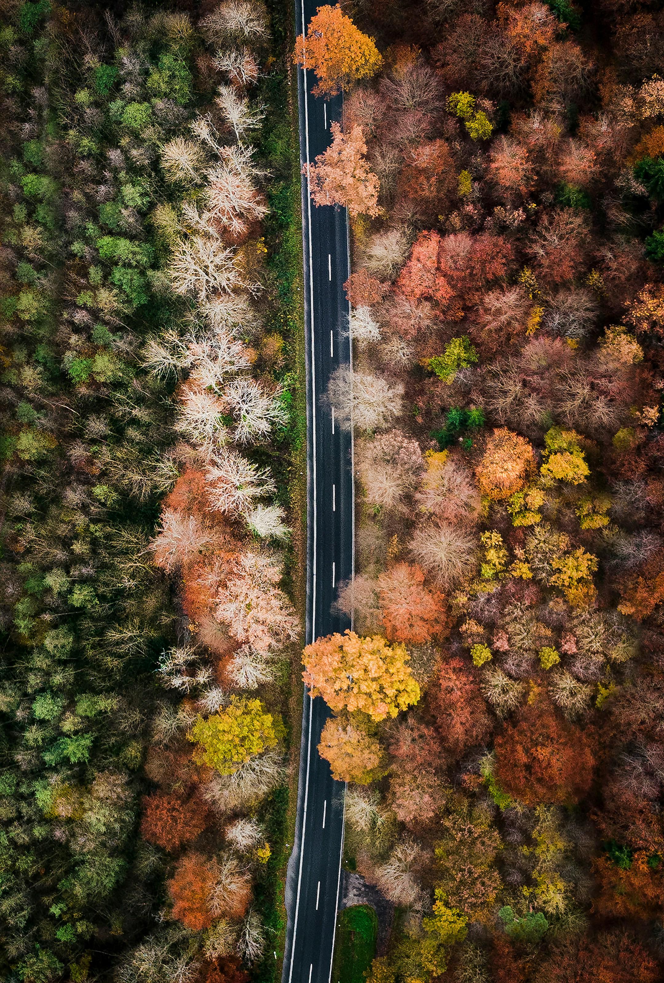 Today I went outside to take some drone shots of the beautiful forest of my hometown. I kept flying higher and higher, until suddenly the connection broke off, the battery was empty and I finally panicked. Fortunately, I was able to save the drone and save my pictures as well.