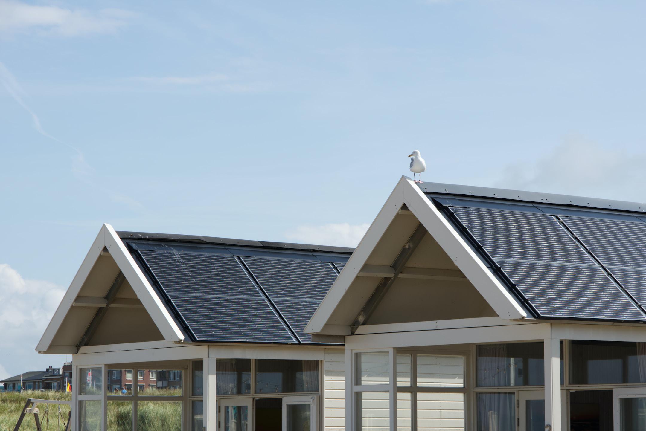 Image of two houses that have been through the solar panel installation process in Maryland.