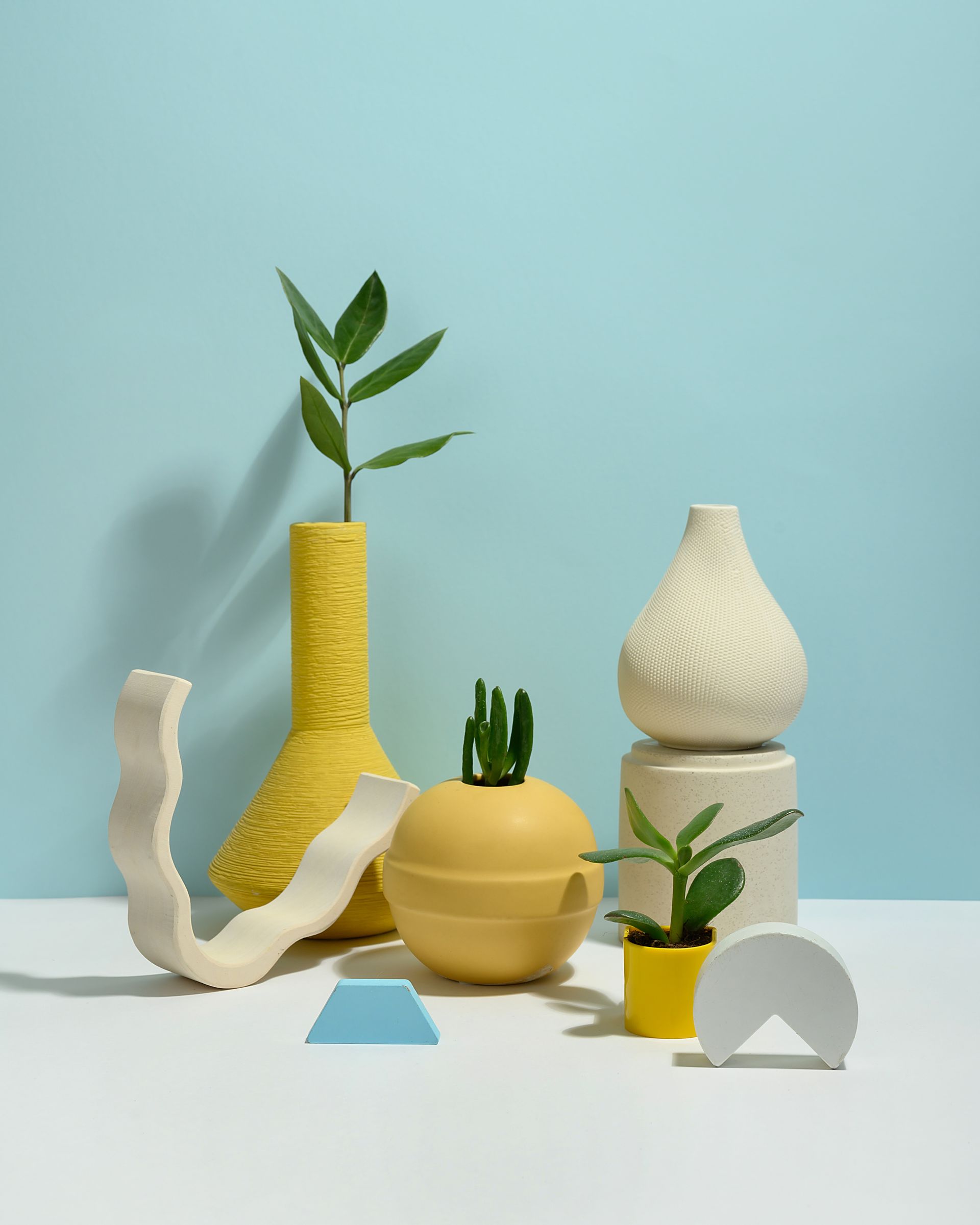 Creative Direction Project