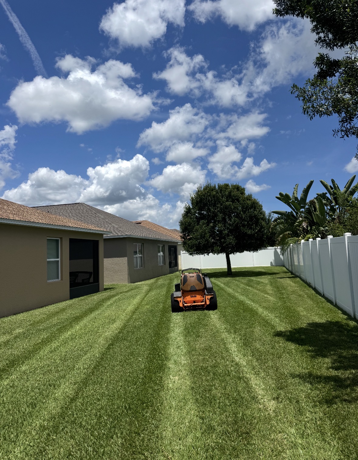Professional landscaping work 4