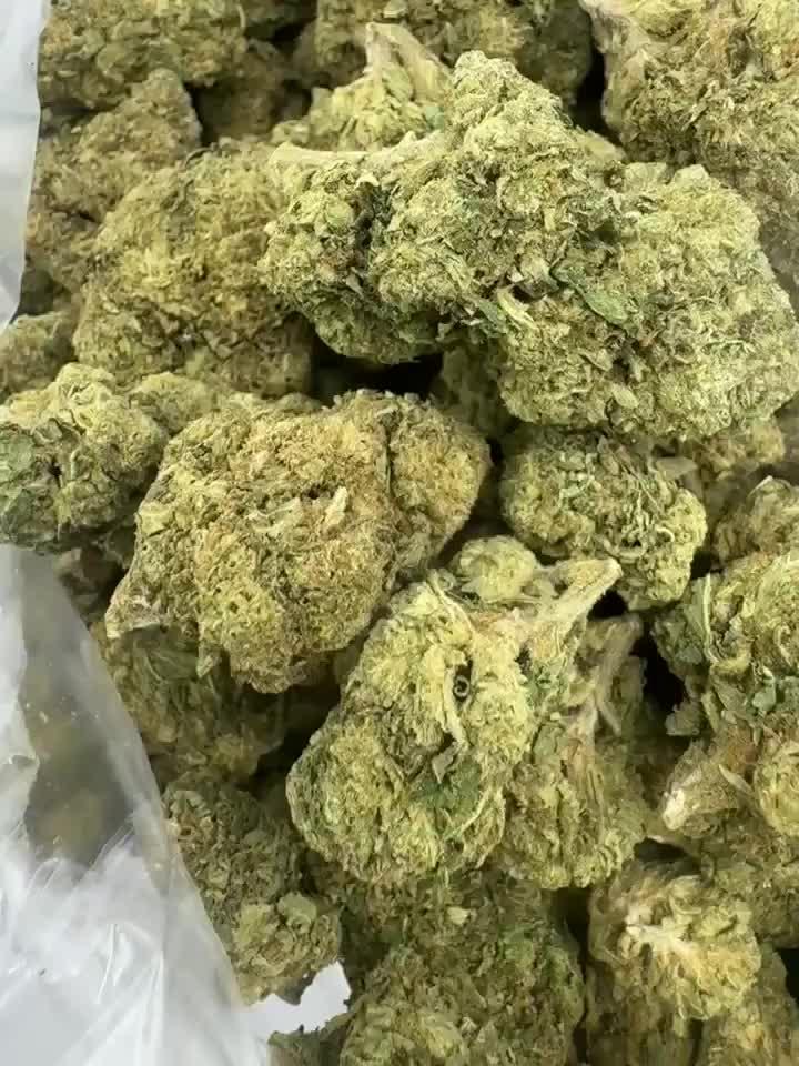 Gushers-Hybrid-VEX-THCA