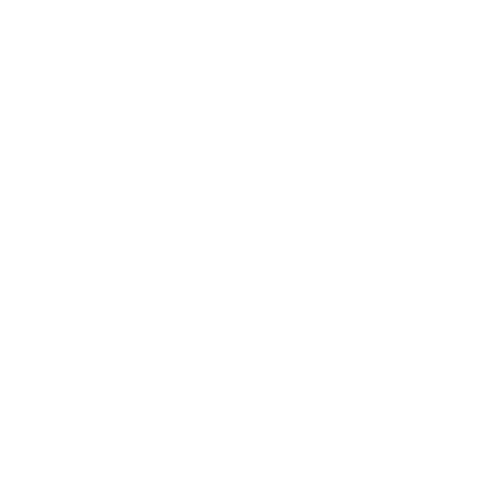 happy little coincidence (4).png
