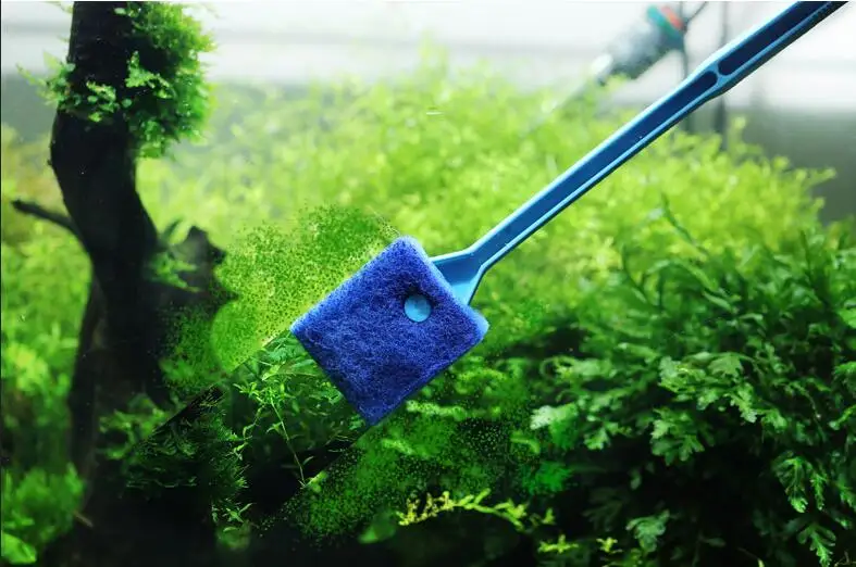 new-algae-cleaner-sponge-cleaning-brush-aquarium-fish-tankcleaning-brush-long-handled-brush-cleaning-tool-large.webp