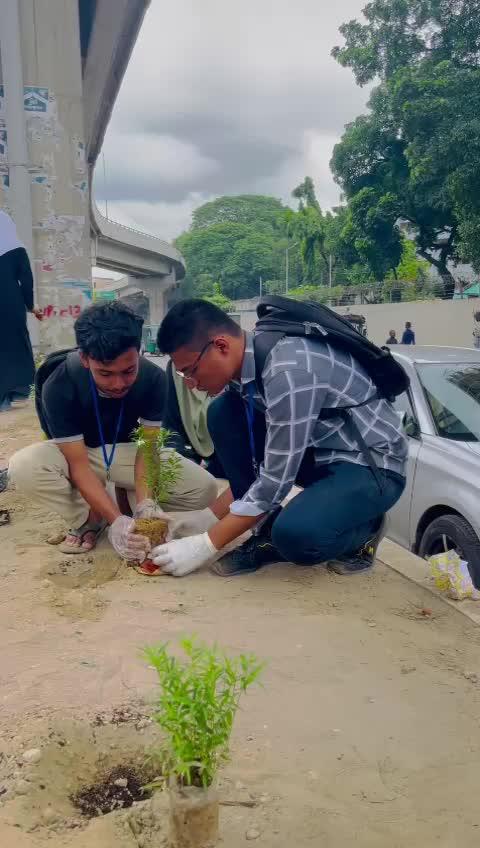 whatsapp video 2024-08-12 at 21.24.12_2ed4544f.mp4
