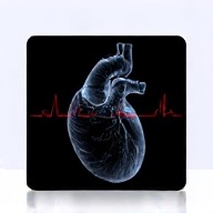Ecocardiografia