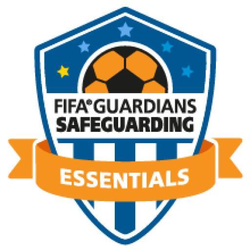 Soccer ball close-up