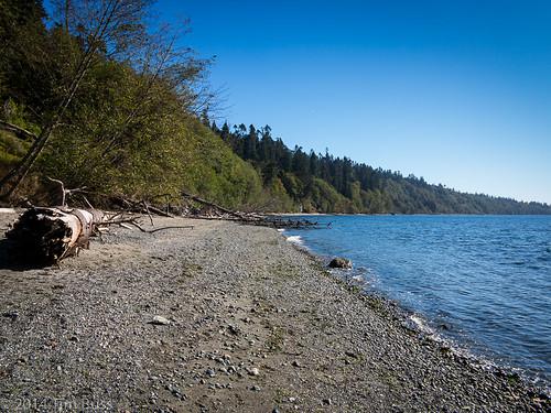 whidbey island 1.jpg