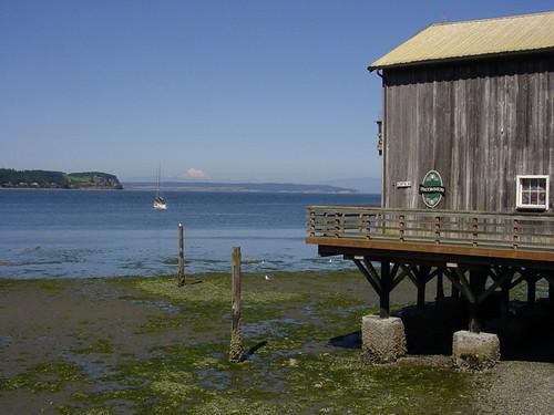 whidbey island 3.jpg