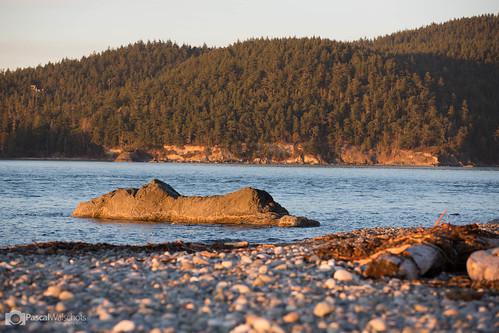 whidbey island 2.jpg