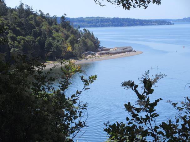 camano island 2.jpg