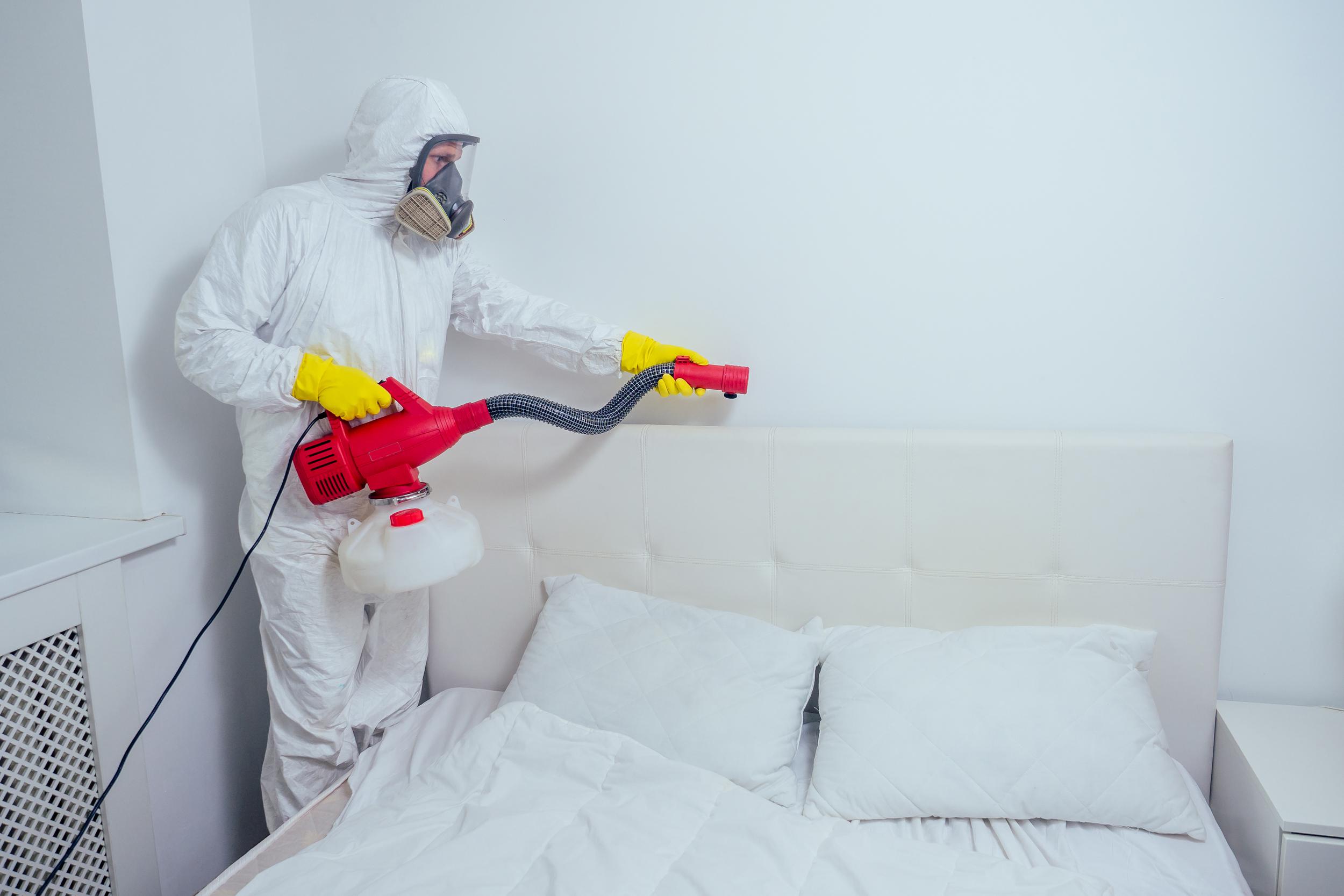 pest-control-worker-lying-on-floor-and-spraying-pe-2024-10-30-20-38-59-utc.jpg