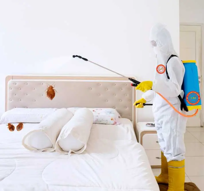 bed-bug-control-in-bangladesh-2-1739496458079.png