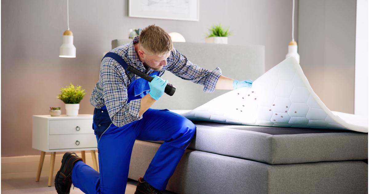 Best Bed Bug Heating LLC