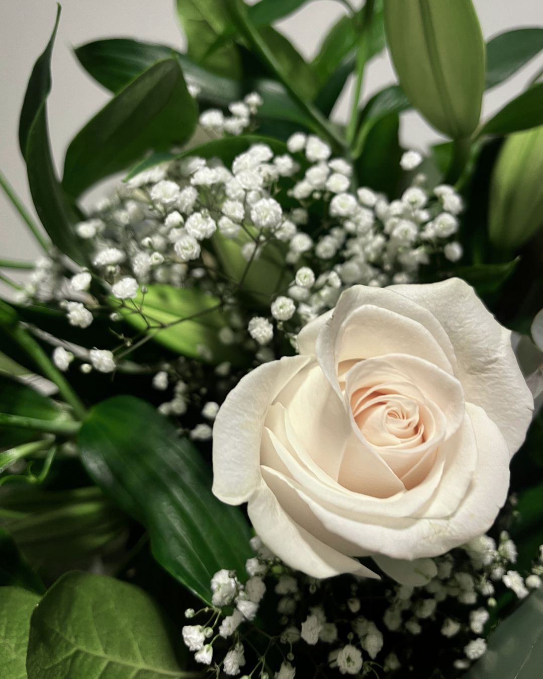 untitled design (15).png