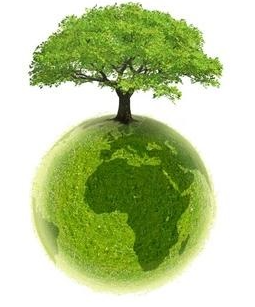 nature.png