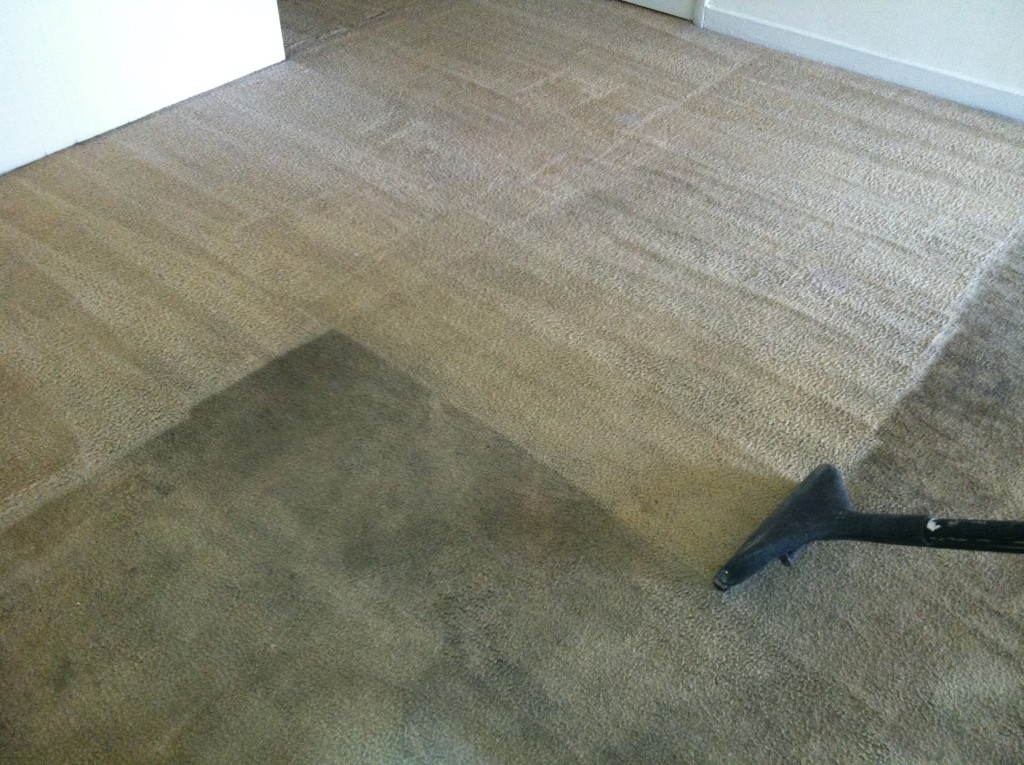 Carpet with embedded dirt and stains before professional carpet cleaning