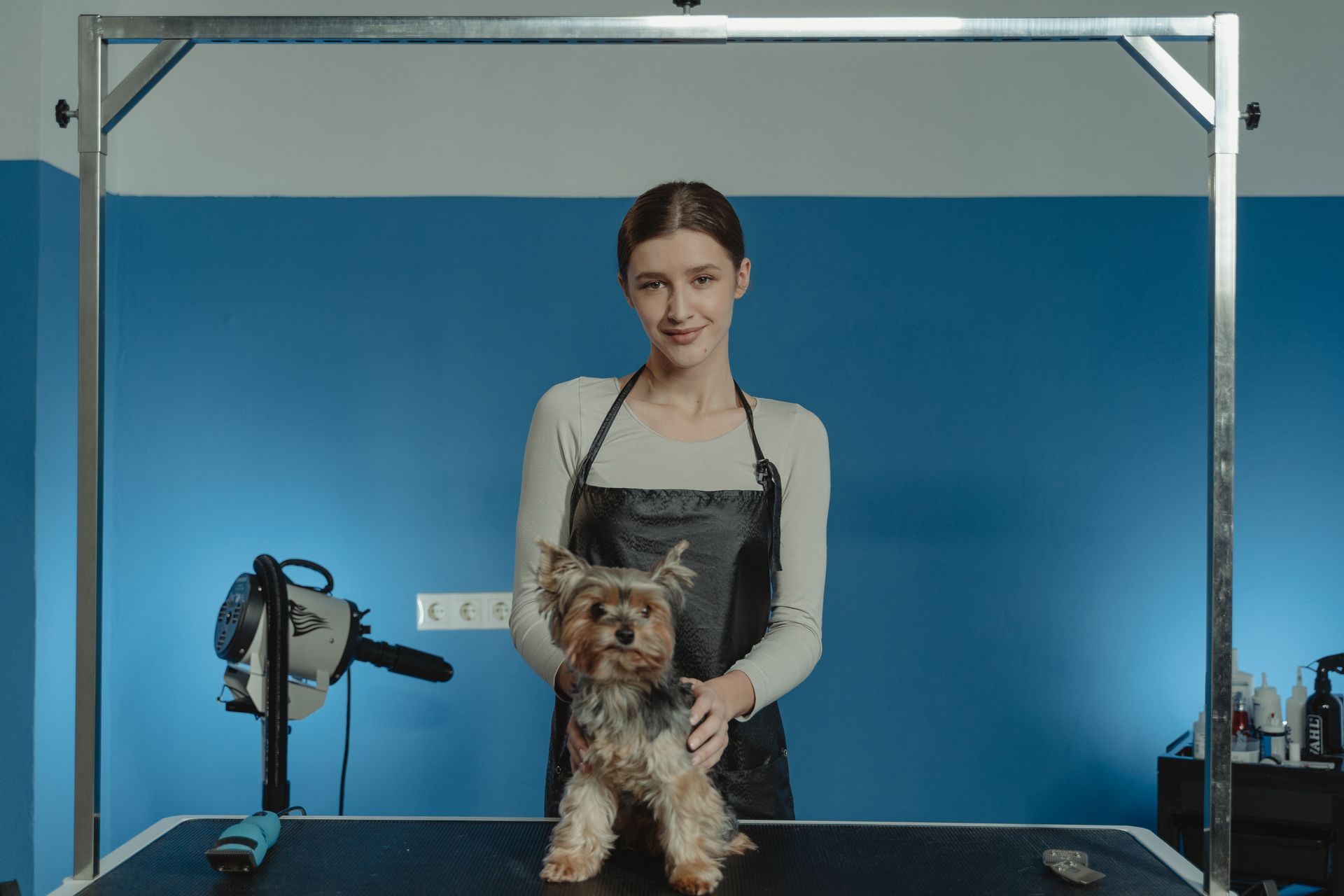 Sarah Johnson, Head Groomer