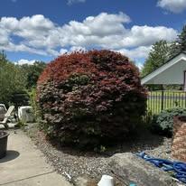 atc pic 10 after.jpg