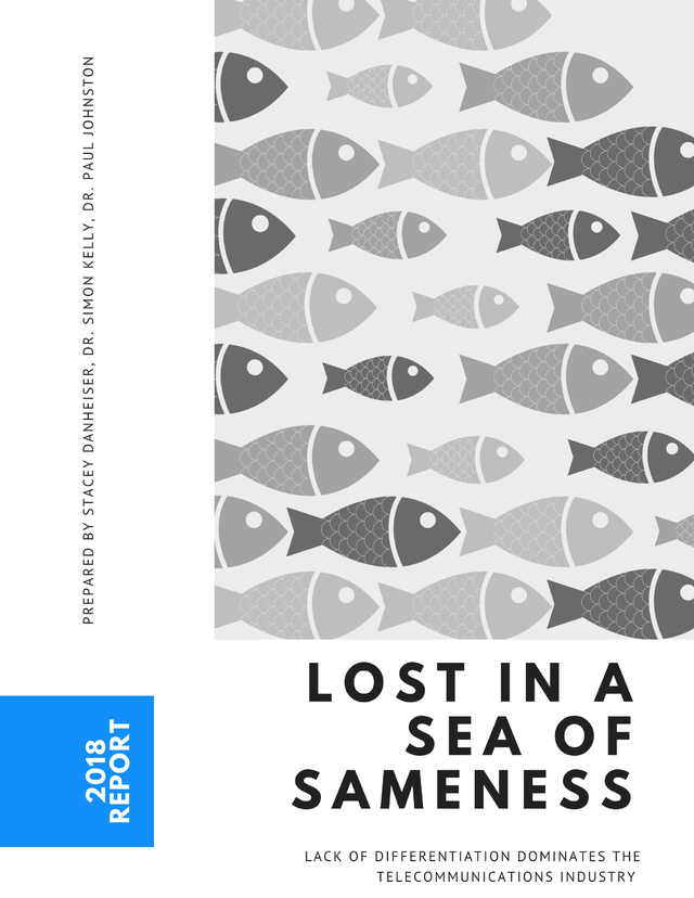 [Whitepaper]: Lost in a Sea of Sameness