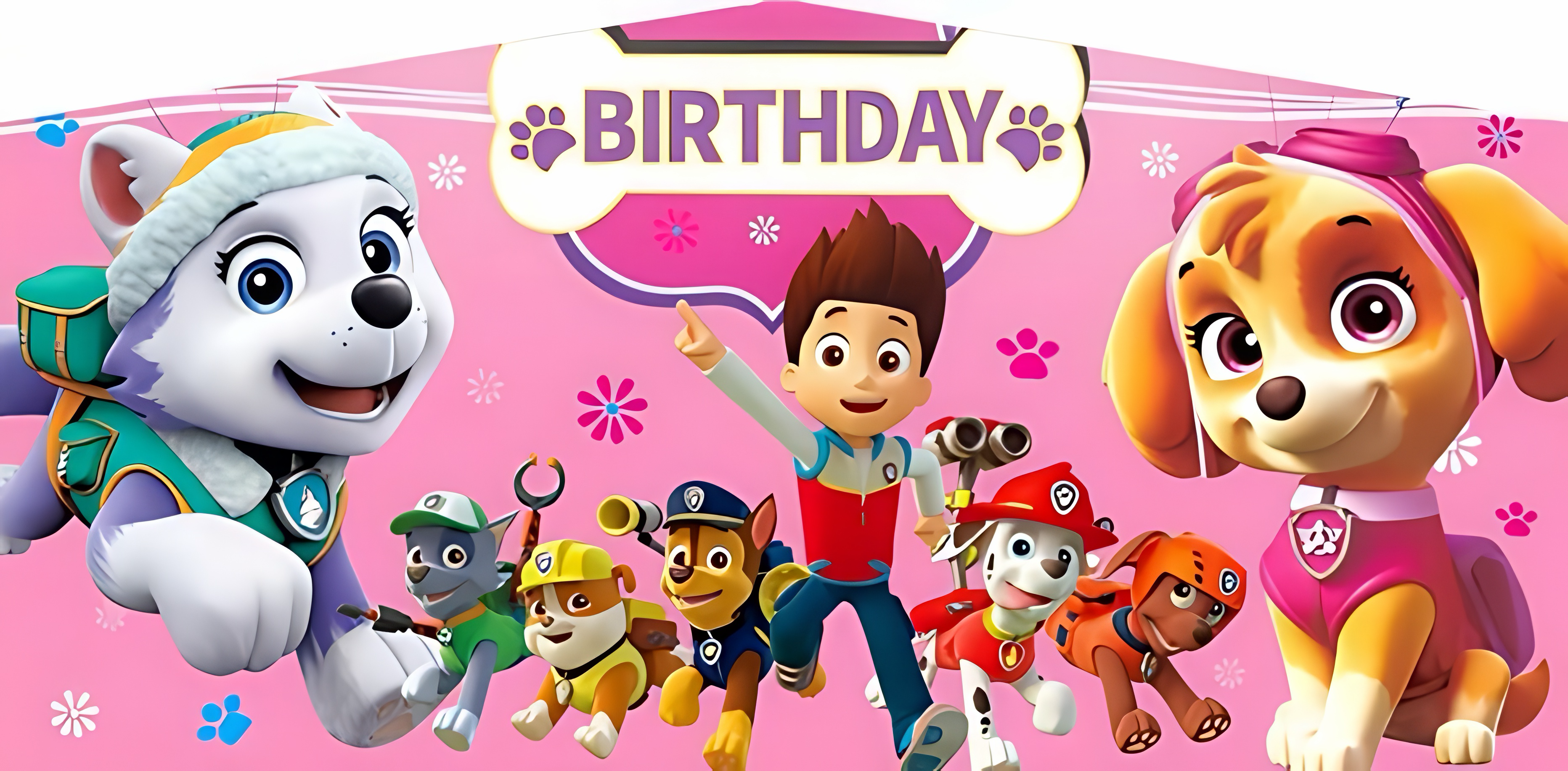 Skye Birthday Party