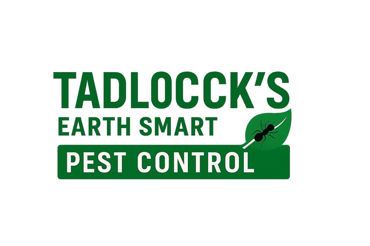 chatgpt image jul 17, 2025, 01_09_47 pm.png