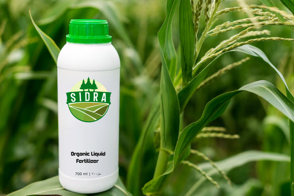 whatsapp image 2025-01-05 at 00.56.31.jpeg.png