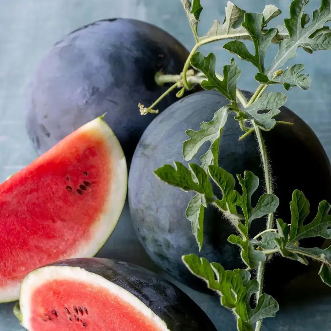 photo by شركة سدرة الزراعية الصناعية on march 31, 2024. لا يتوفر وصف للصورة.. (3).jpg