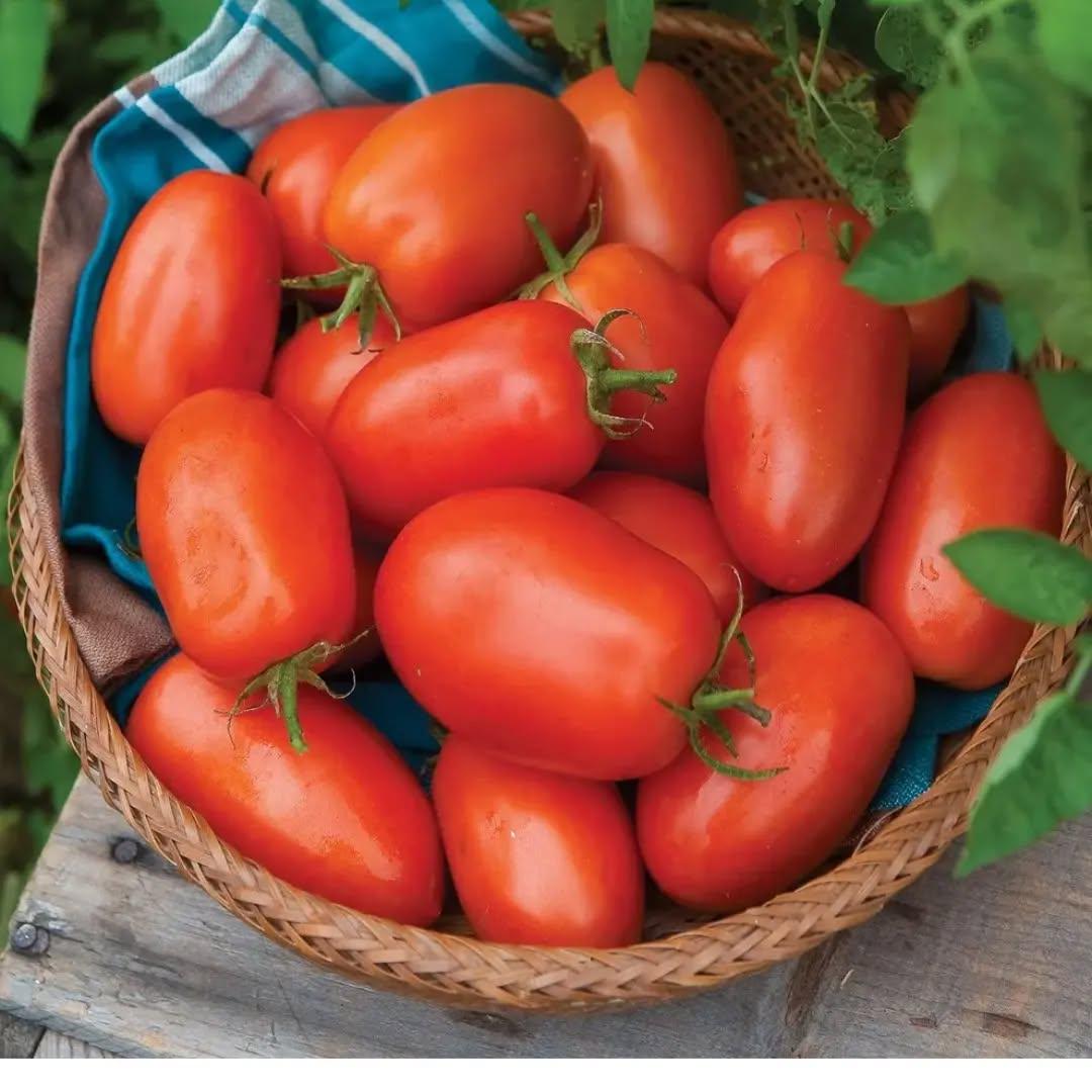 photo by شركة سدرة الزراعية الصناعية on april 09, 2024. لا يتوفر وصف للصورة.. (2).jpg