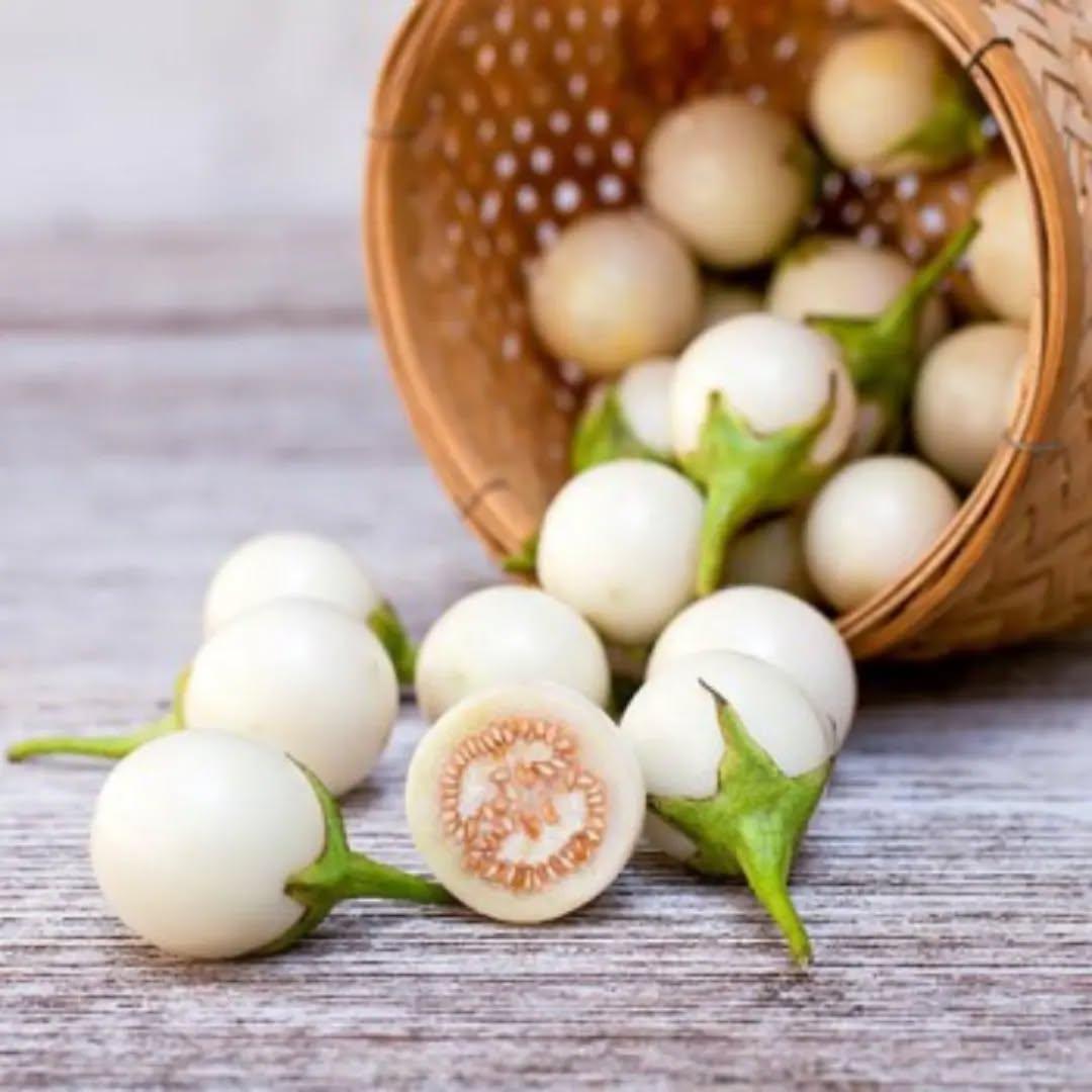 photo by شركة سدرة الزراعية الصناعية on march 31, 2024. لا يتوفر وصف للصورة.. (9).jpg