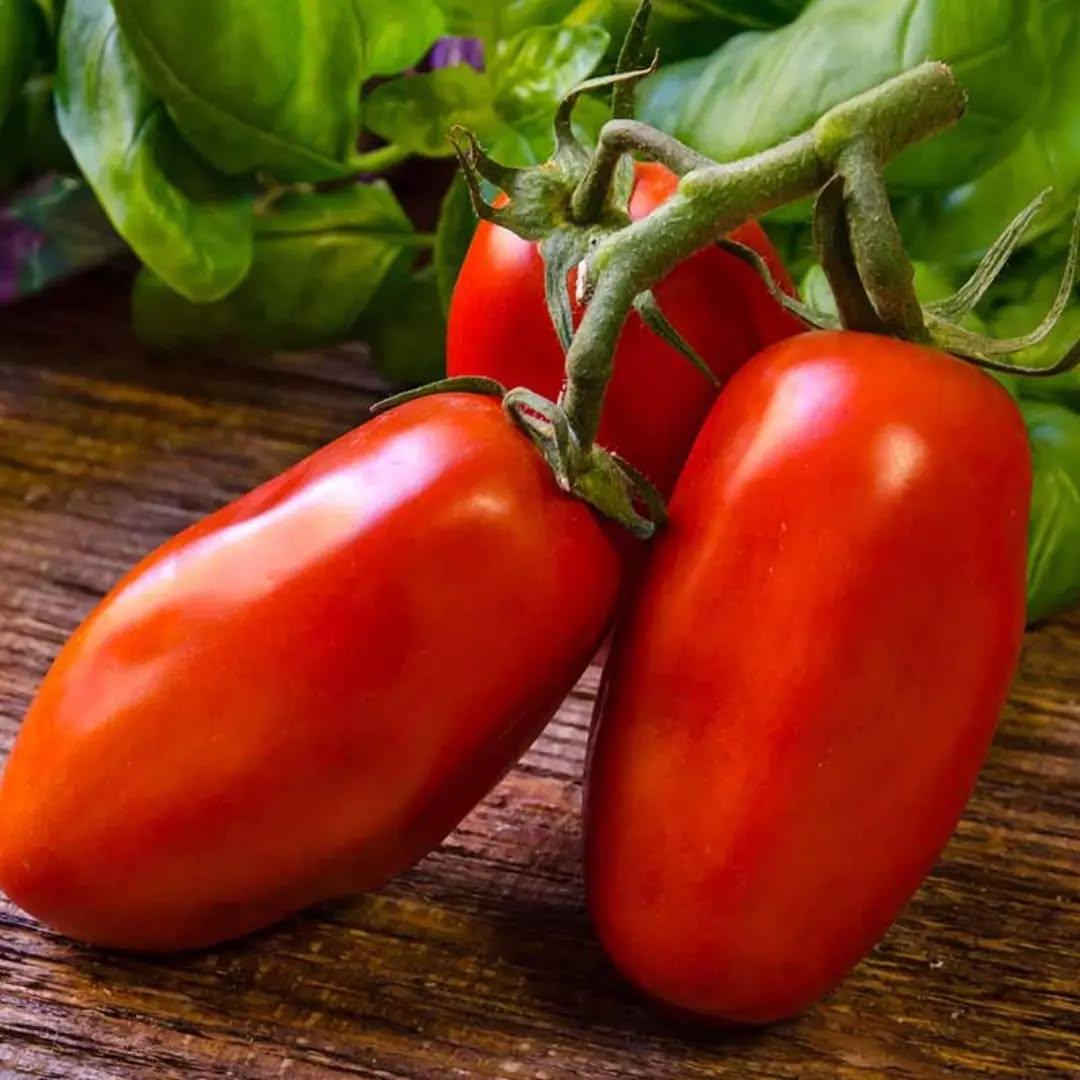 photo by شركة سدرة الزراعية الصناعية on march 28, 2024. لا يتوفر وصف للصورة.. (1).jpg