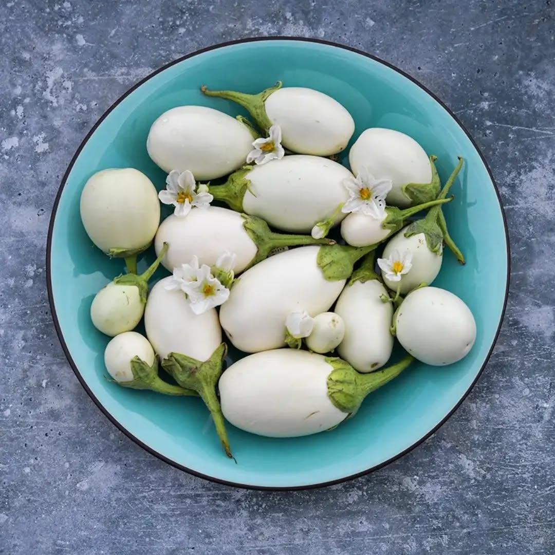 photo by شركة سدرة الزراعية الصناعية on march 31, 2024. لا يتوفر وصف للصورة.. (10).jpg