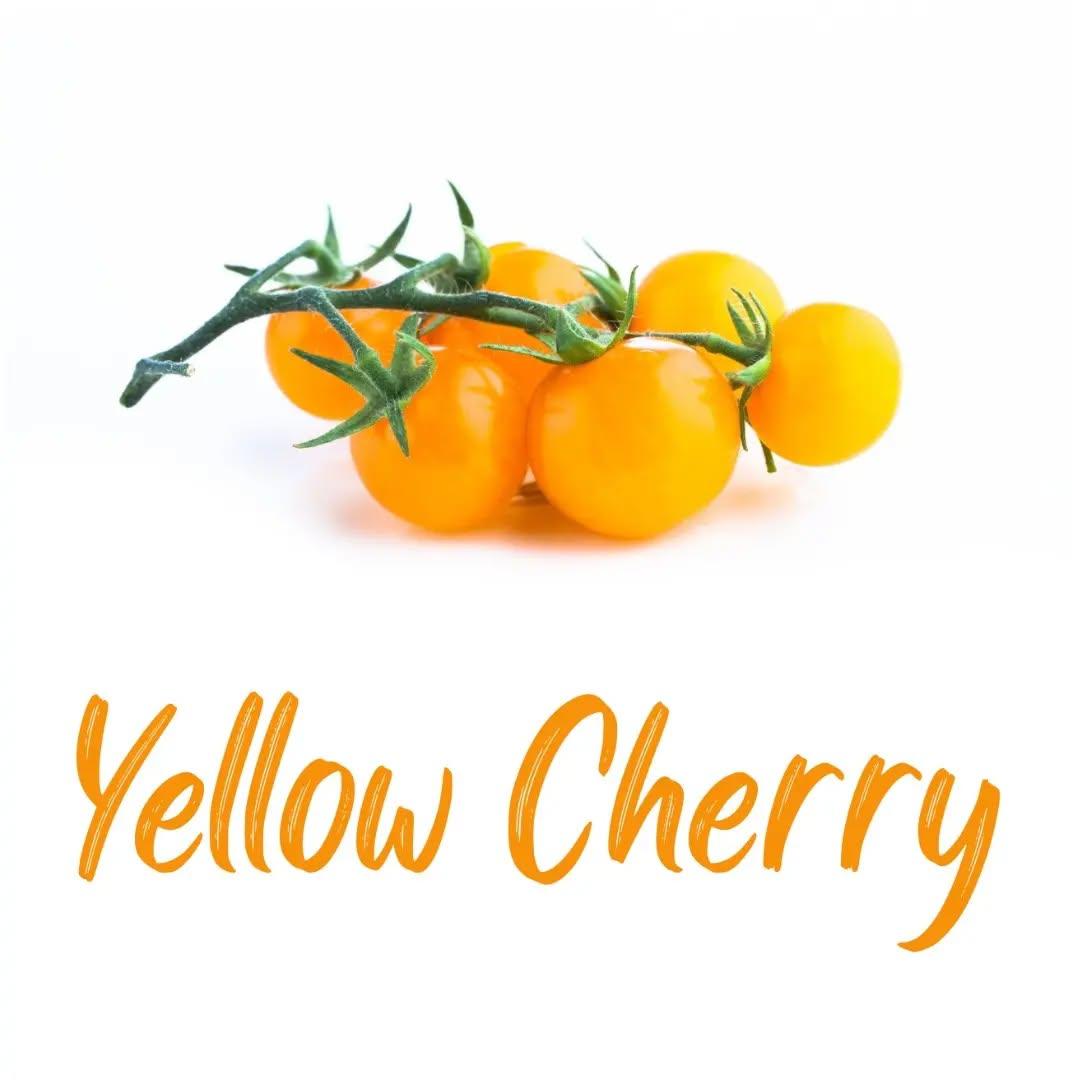 photo by شركة سدرة الزراعية الصناعية on march 28, 2024. لا يتوفر وصف للصورة.. (5).jpg