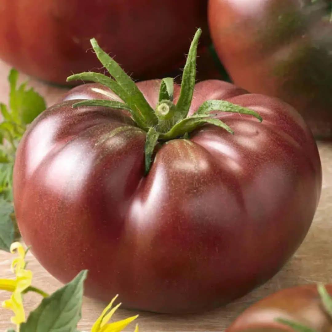 photo by شركة سدرة الزراعية الصناعية on march 28, 2024. لا يتوفر وصف للصورة.. (4).jpg