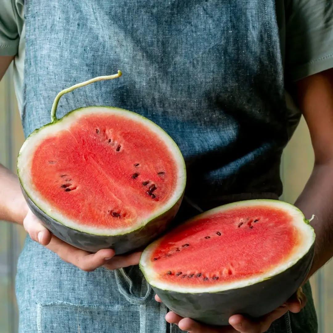 photo by شركة سدرة الزراعية الصناعية on march 31, 2024. لا يتوفر وصف للصورة.. (2).jpg