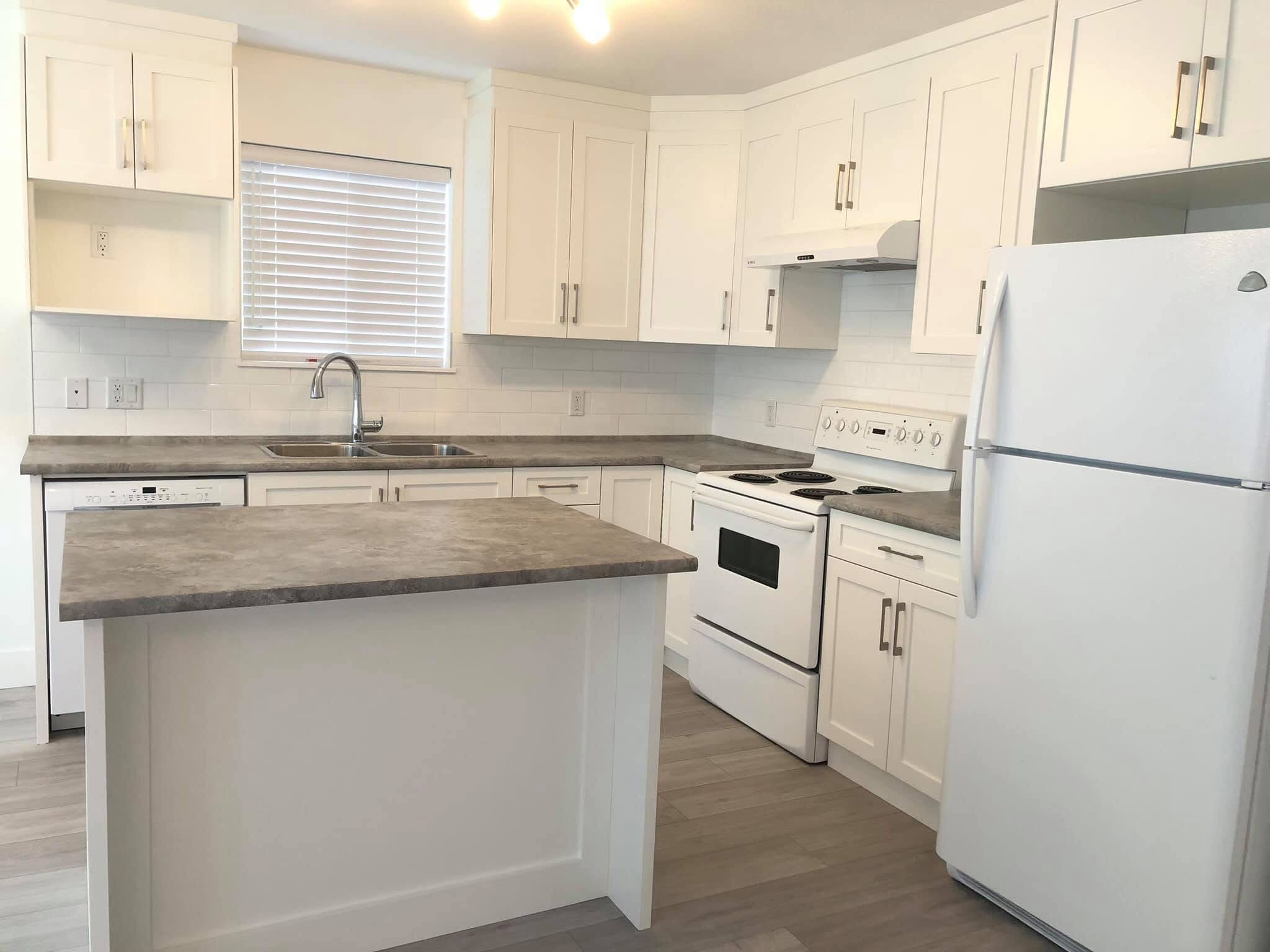 Professional cleaning work